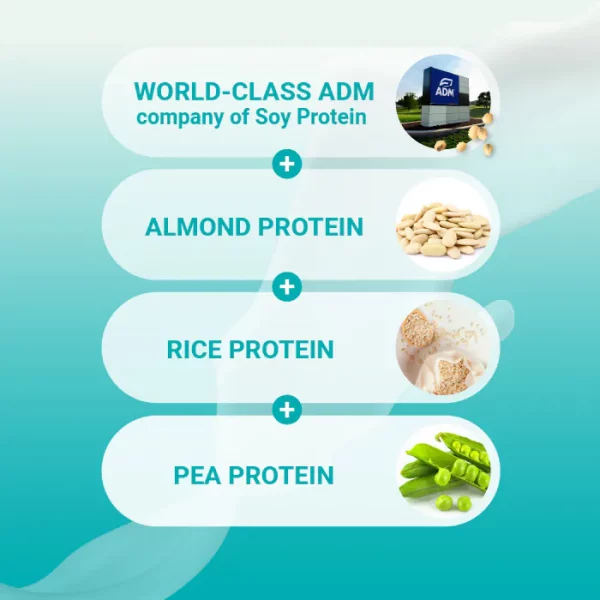 【THE VEGAN】Pure Plant-Based Protein - Plain (1kg) - Image 7