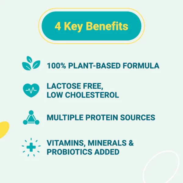 【THE VEGAN】Classic Plant-Based Protein - Black Tea Soy Milk (Box of 30 sachets) - Image 6