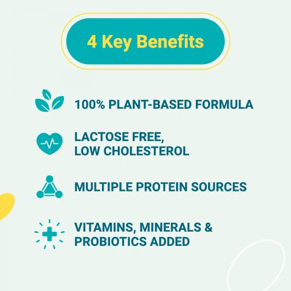 【THE VEGAN】Classic Plant-Based Protein - Black Tea Soy Milk (1kg) - Image 6